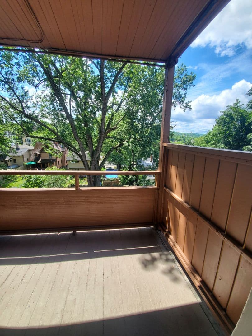 Ithaca Apartment: 523 E Buffalo Street