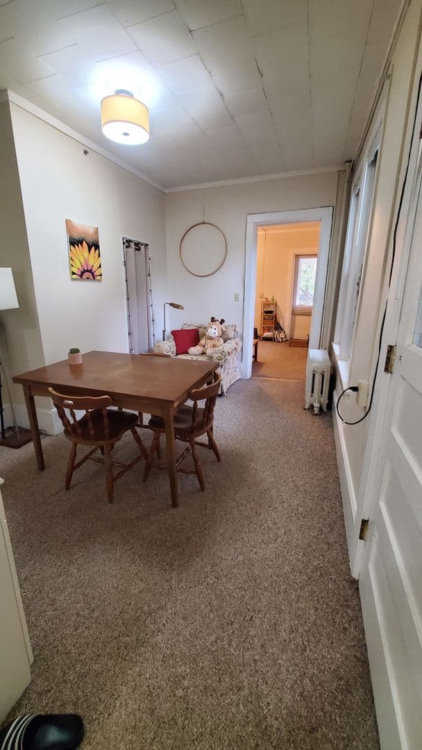 Ithaca Apartment: 523 E Buffalo Street