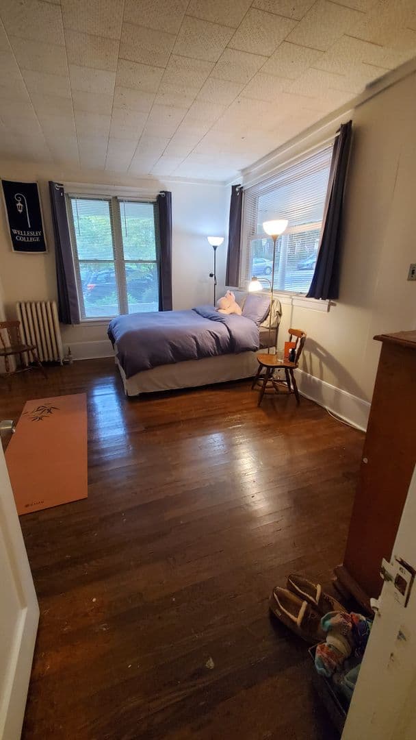 Ithaca Apartment: 523 E Buffalo Street