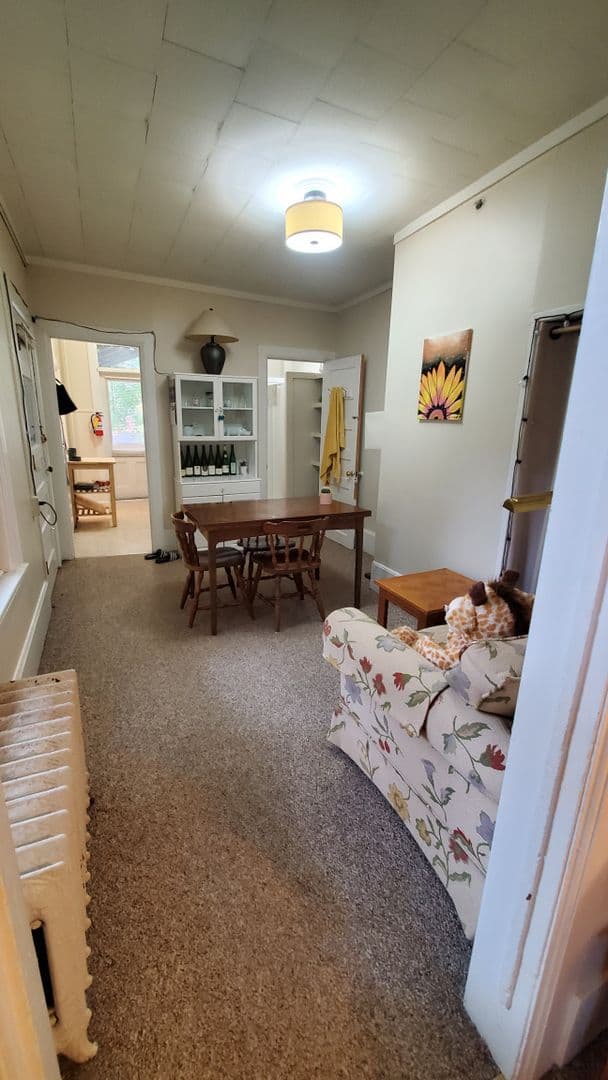 Ithaca Apartment: 523 E Buffalo Street