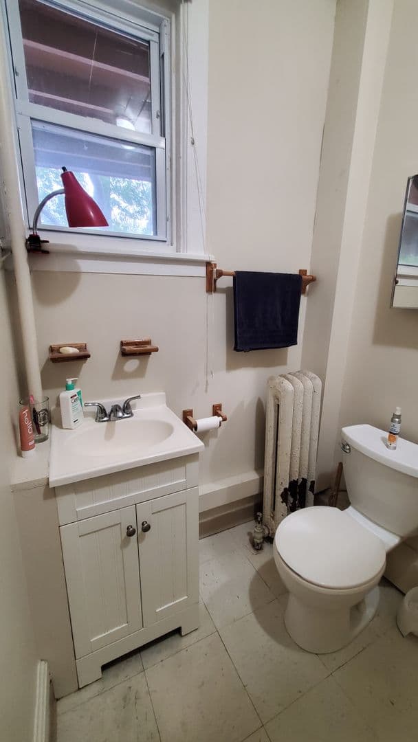 Ithaca Apartment: 523 E Buffalo Street