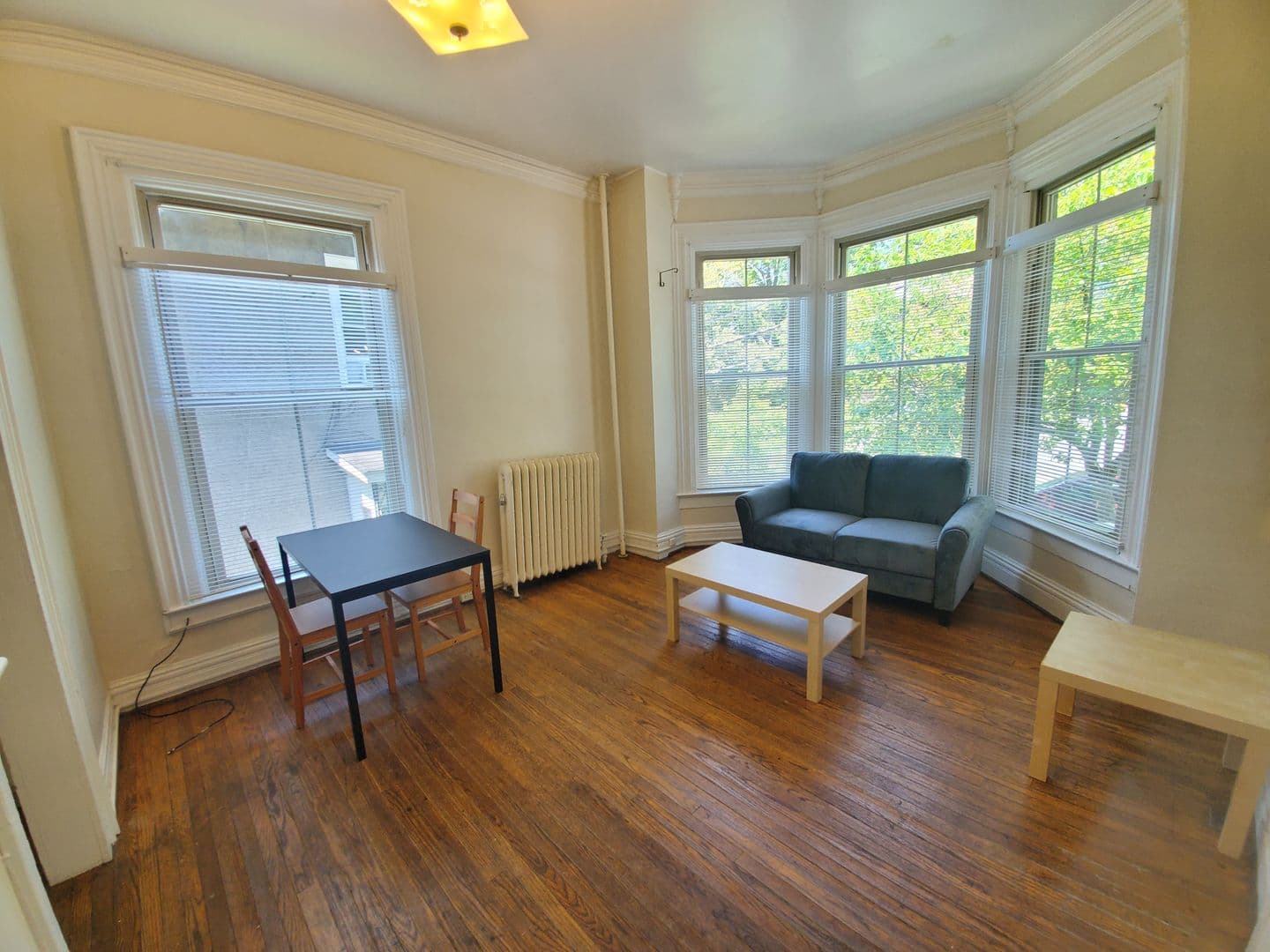 Ithaca Apartment: 519 E Buffalo Street