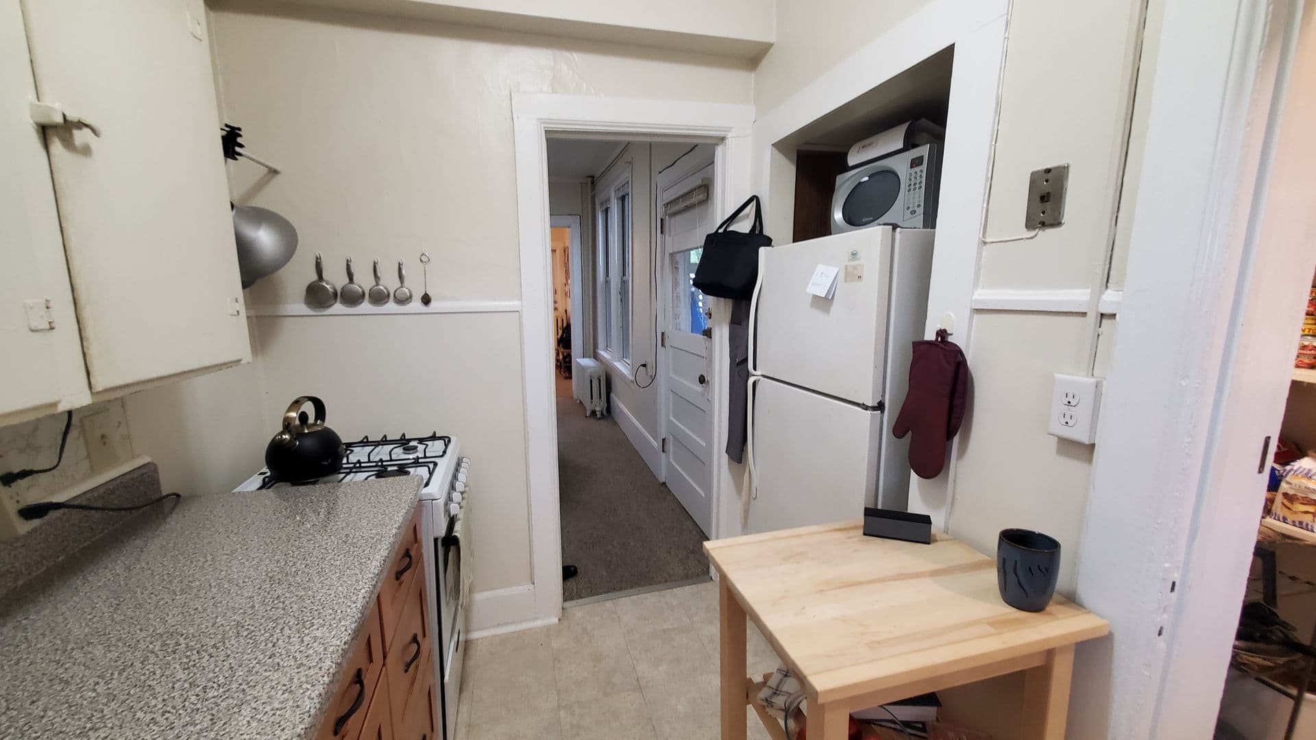 Ithaca Apartment: 523 E Buffalo Street