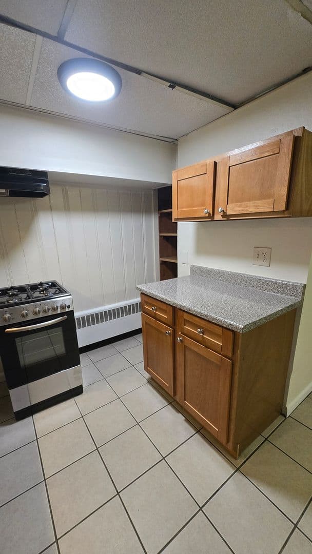 Ithaca Apartment: 111 Blair Street