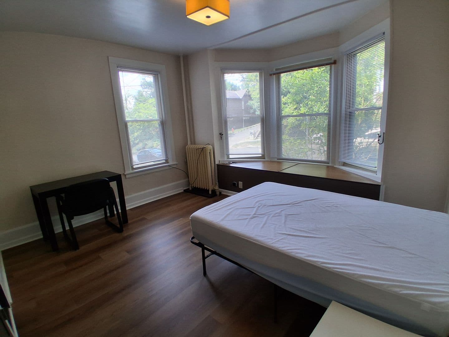 Ithaca Apartment: 523 E Buffalo Street
