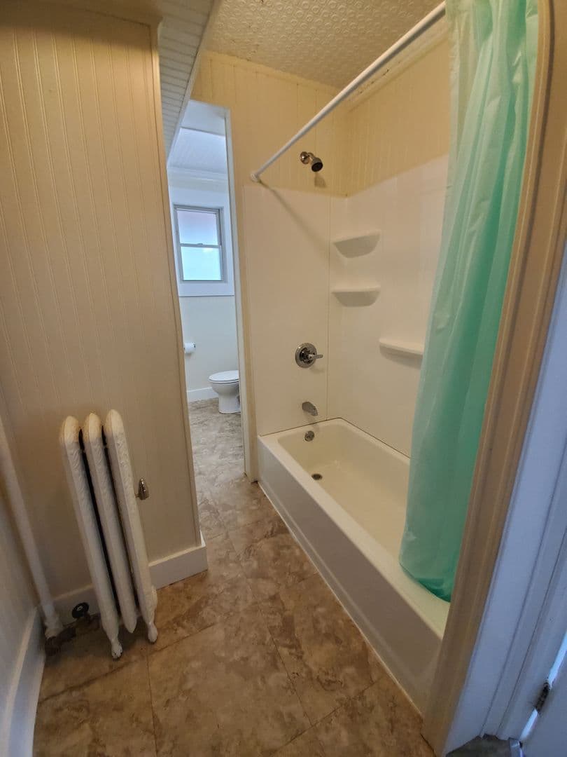 Ithaca Apartment: 523 E Buffalo Street