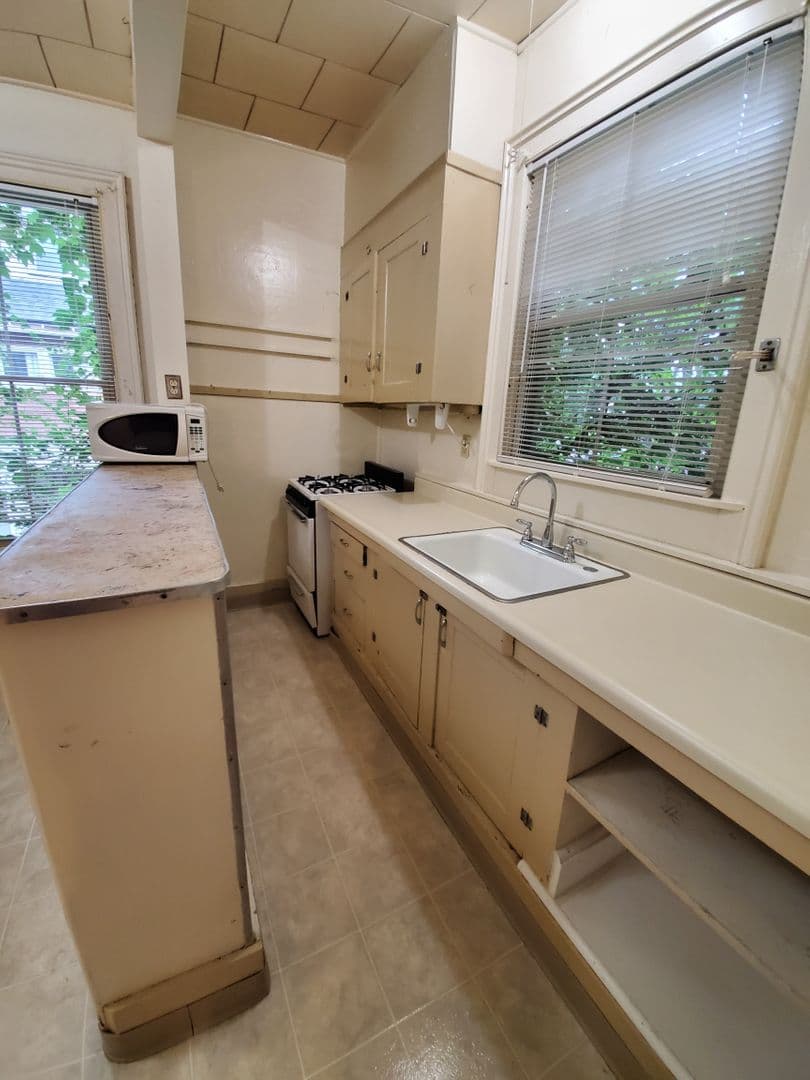 Ithaca Apartment: 519 E Buffalo Street