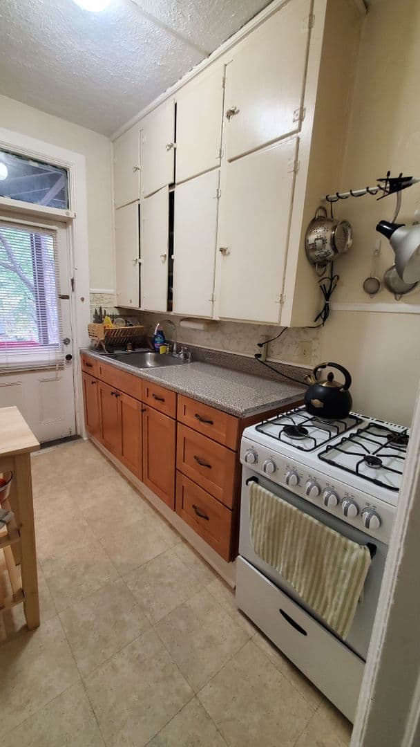 Ithaca Apartment: 523 E Buffalo Street