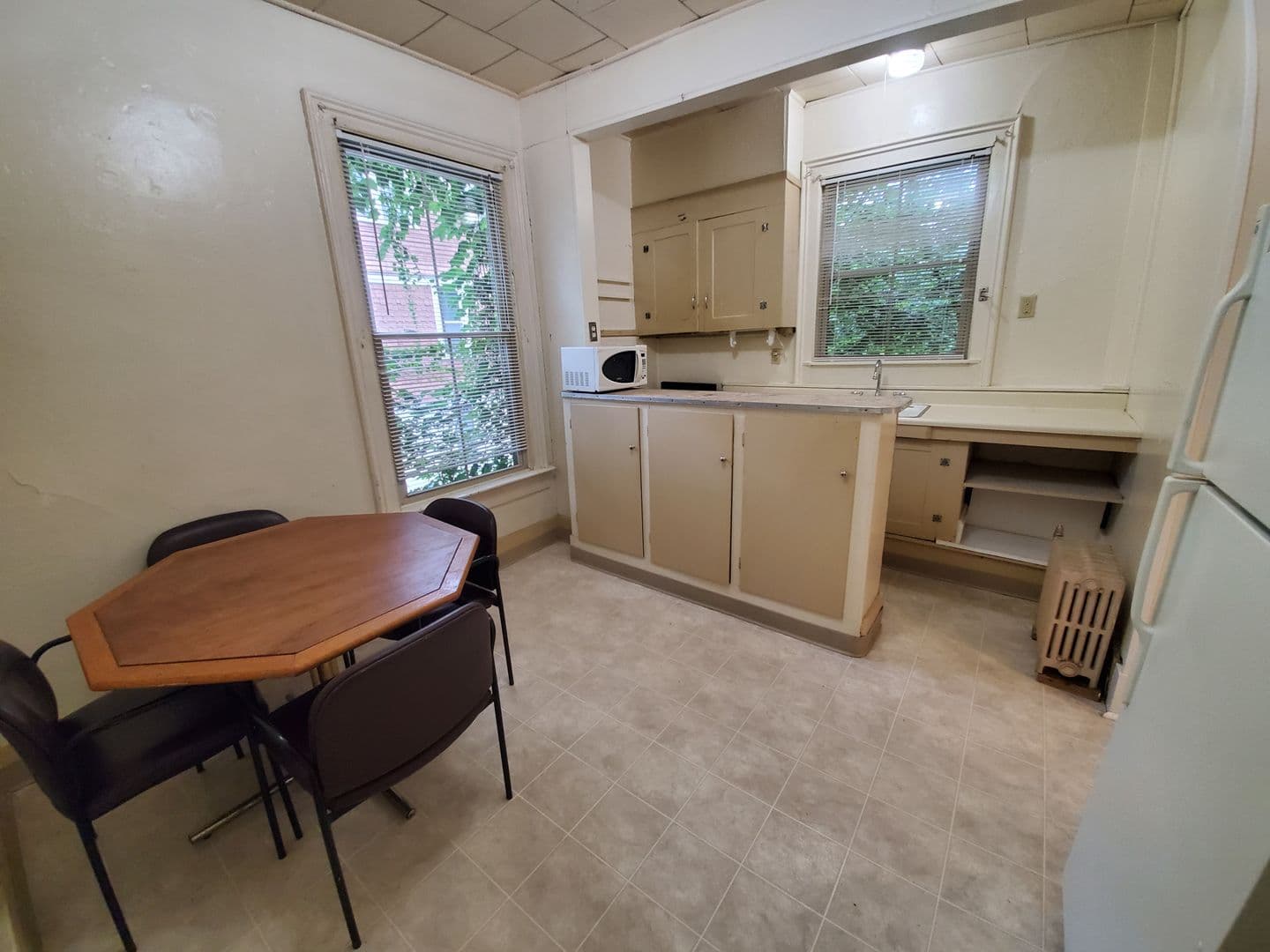 Ithaca Apartment: 519 E Buffalo Street
