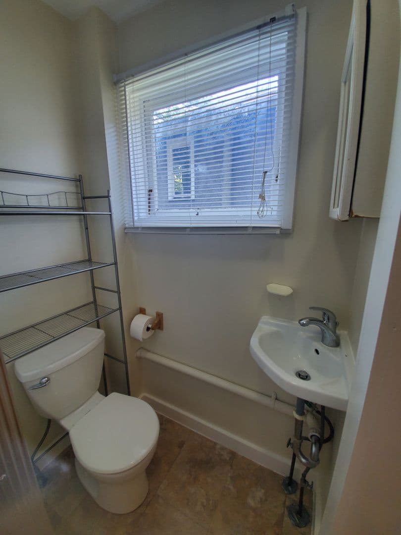 Ithaca Apartment: 519 E Buffalo Street