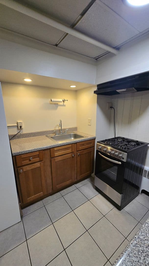 Ithaca Apartment: 111 Blair Street