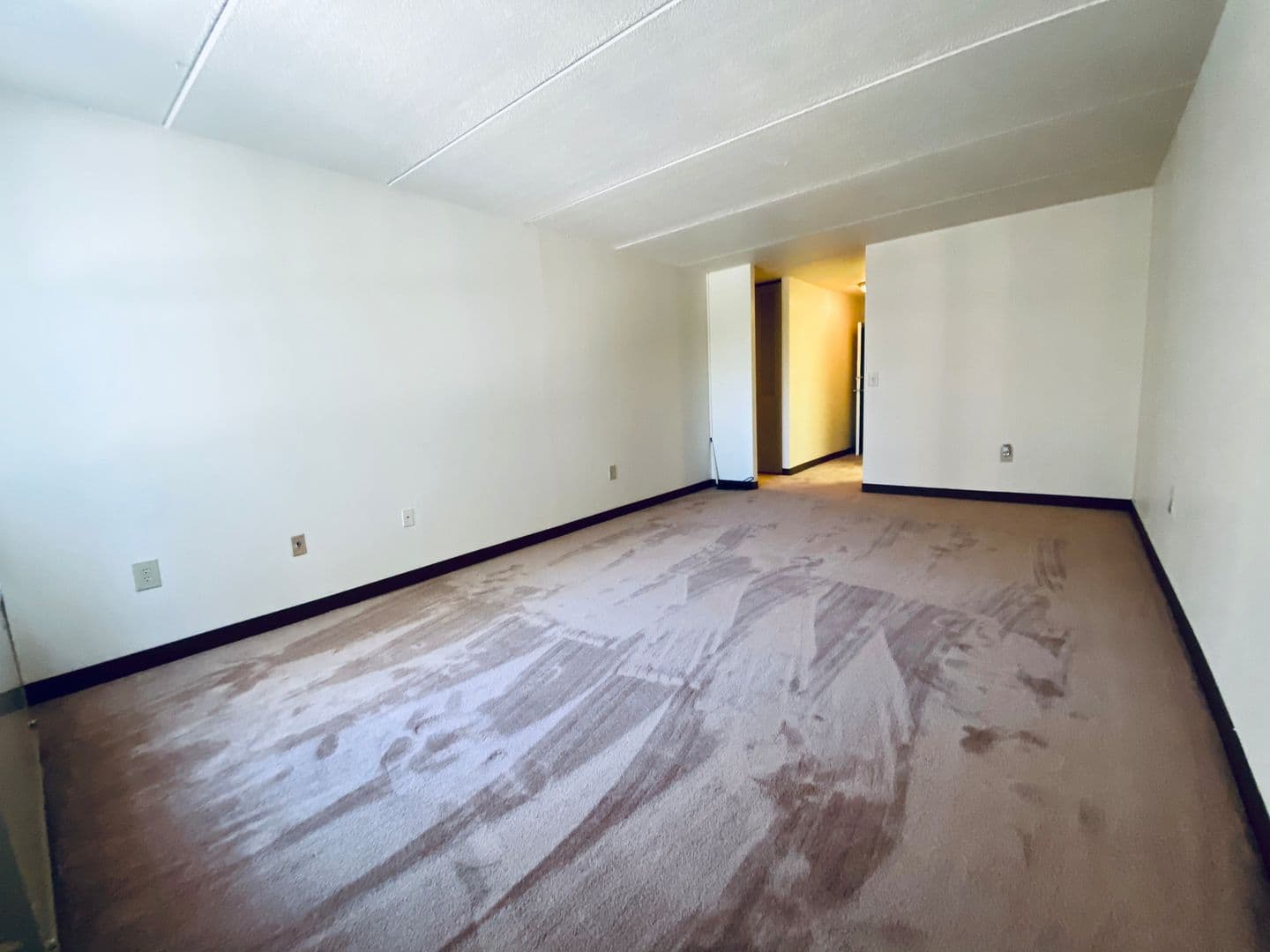 Pittsburgh Apartment: 5030 Centre Avenue
