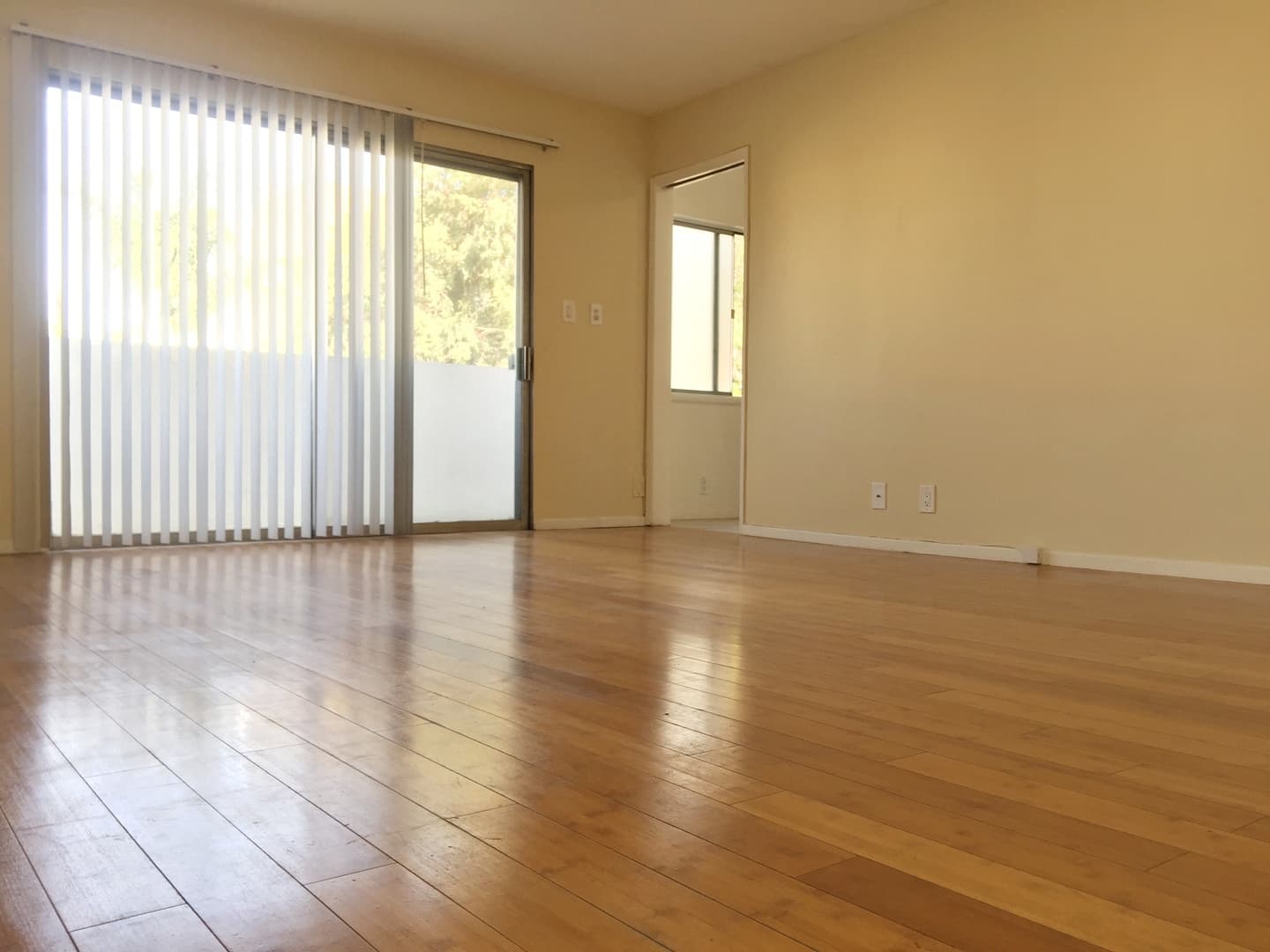 Los Angeles Apartment: 933 N Wilcox Ave