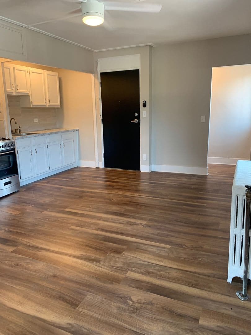 Rochester Apartment: 253 Alexander St