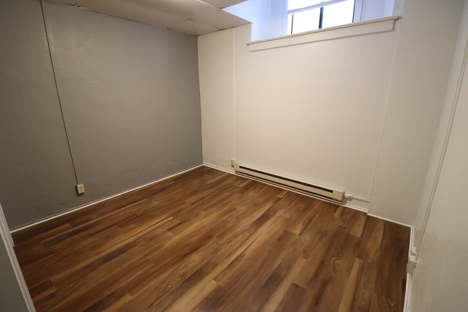 Rochester Apartment: 253 Alexander St