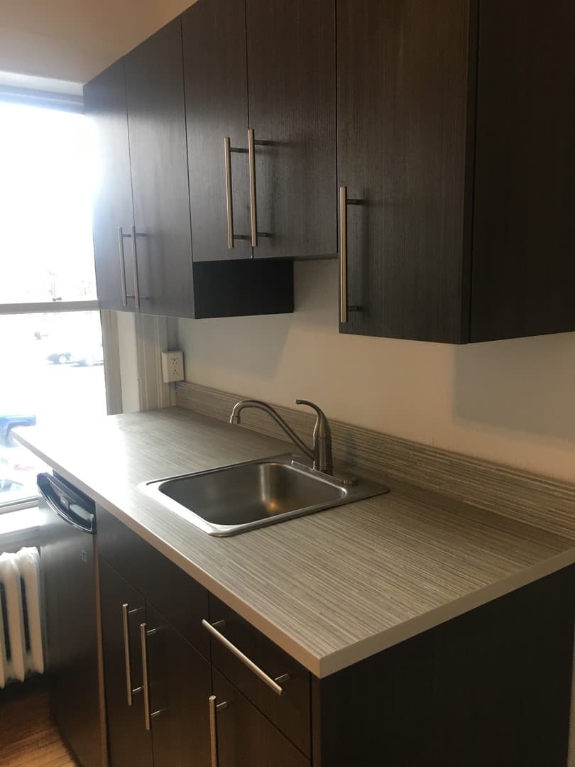 Rochester Apartment: 253 Alexander St