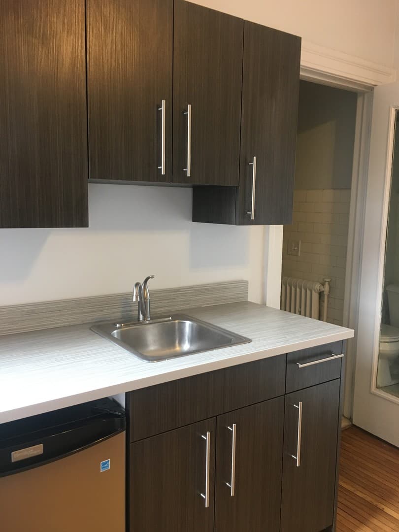 Rochester Apartment: 253 Alexander St