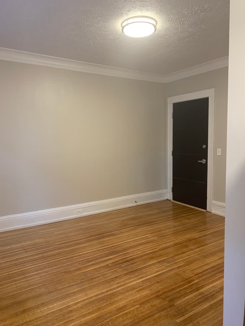 Rochester Apartment: 253 Alexander St