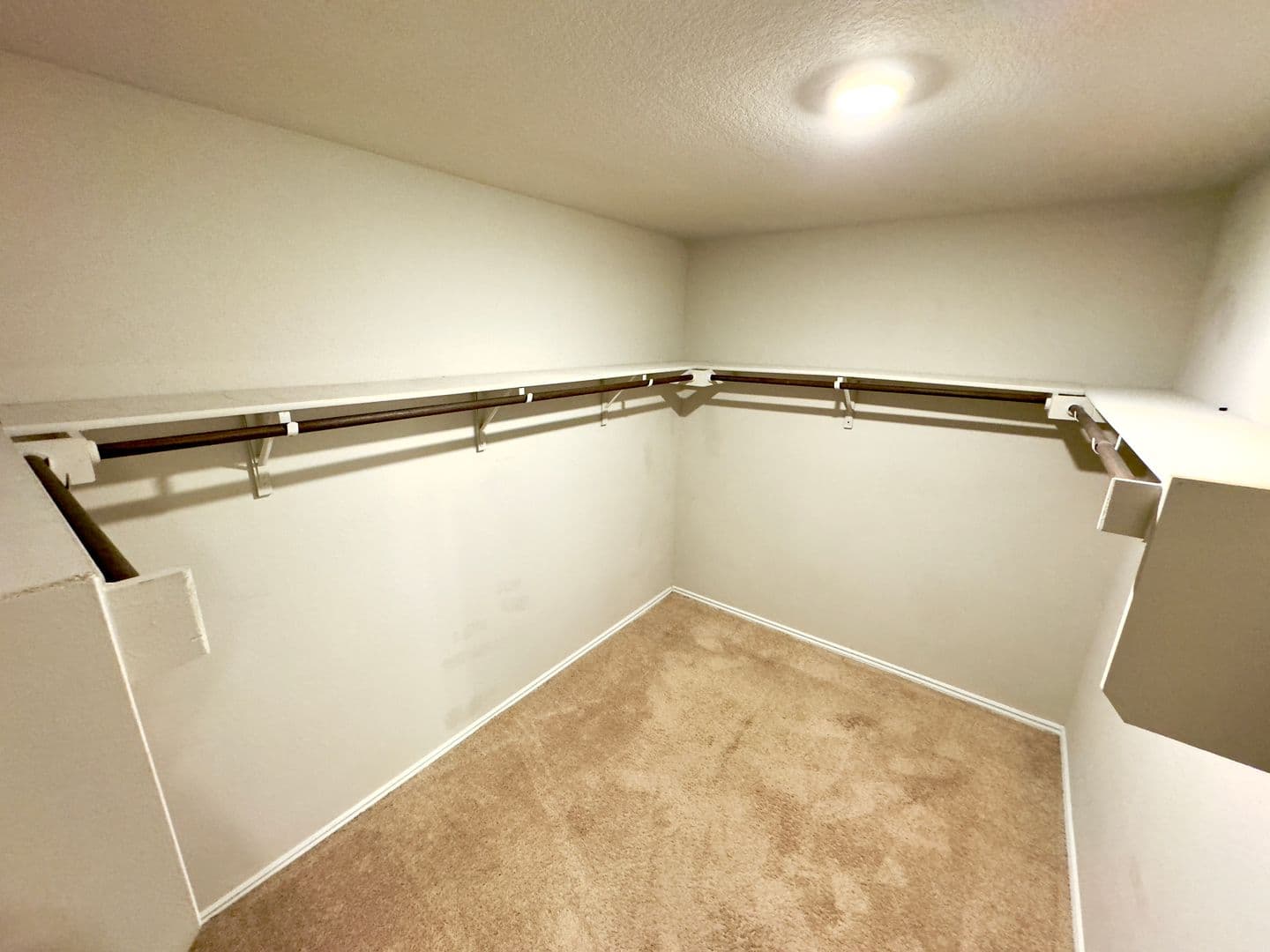 Austin House: 5813 Xene Dr
