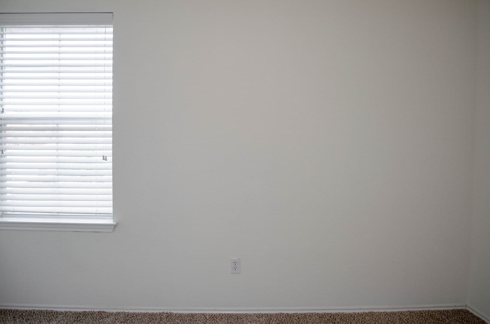 Austin House: 14213 Willow Tank Drive