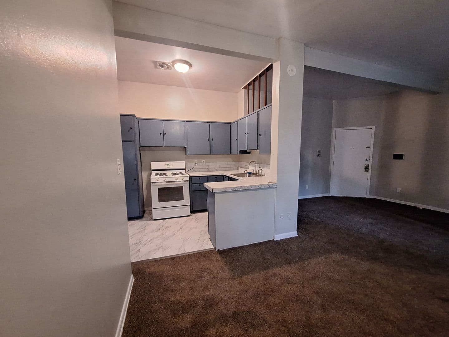 Detroit Condo: 17274 Bentler St