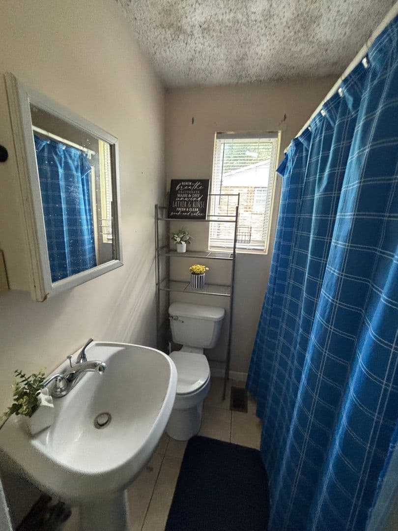 Dallas House: 115 Pindal
