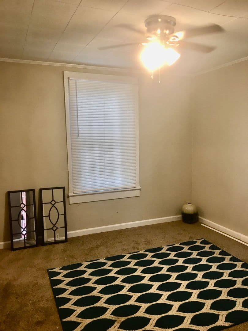 Shelby Apartment: 413 Tracy St - B