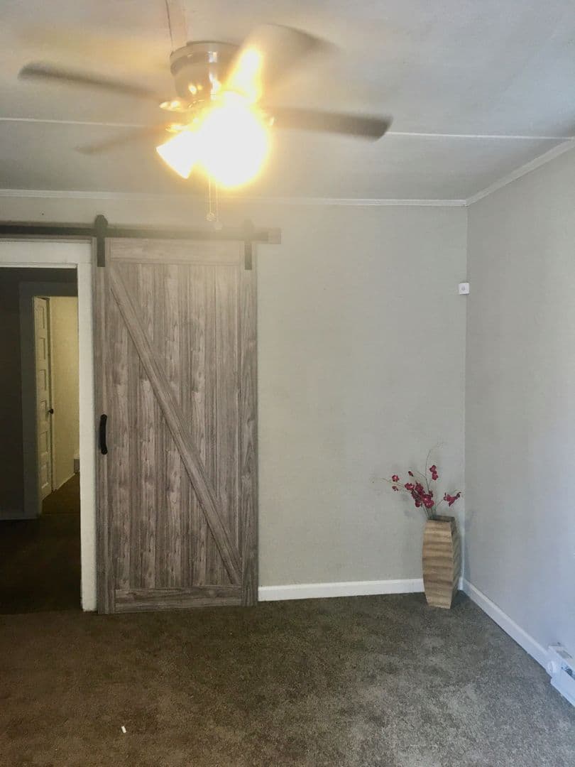 Shelby Apartment: 413 Tracy St - B