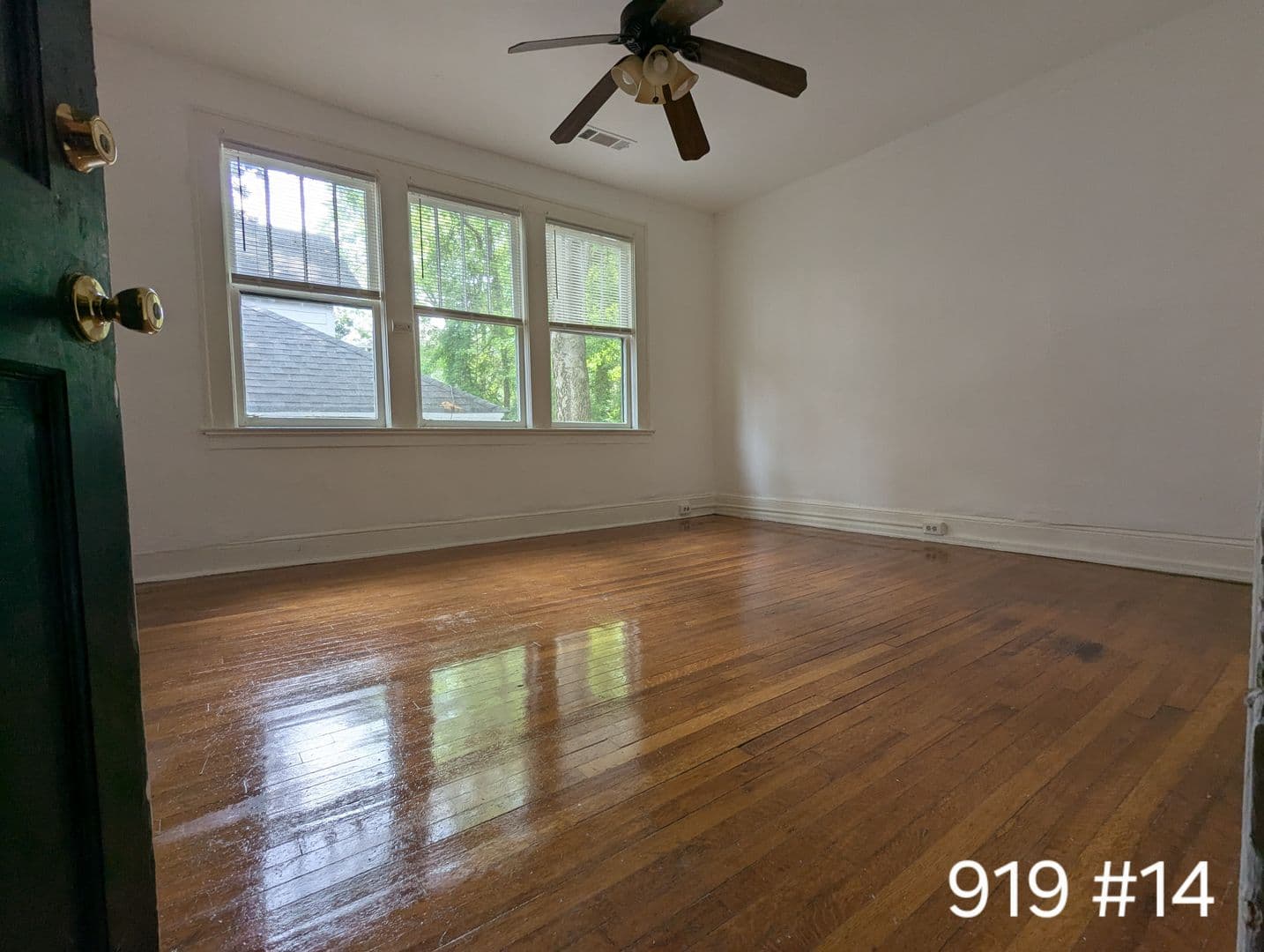 Atlanta Apartment: 909,915, and 919 Greenwood Ave NE