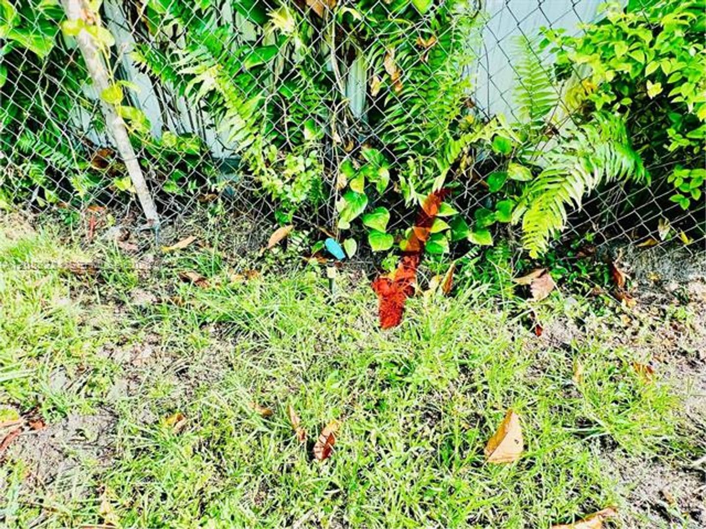 North Miami Beach House: 18320 NE 7th Ct # 18320