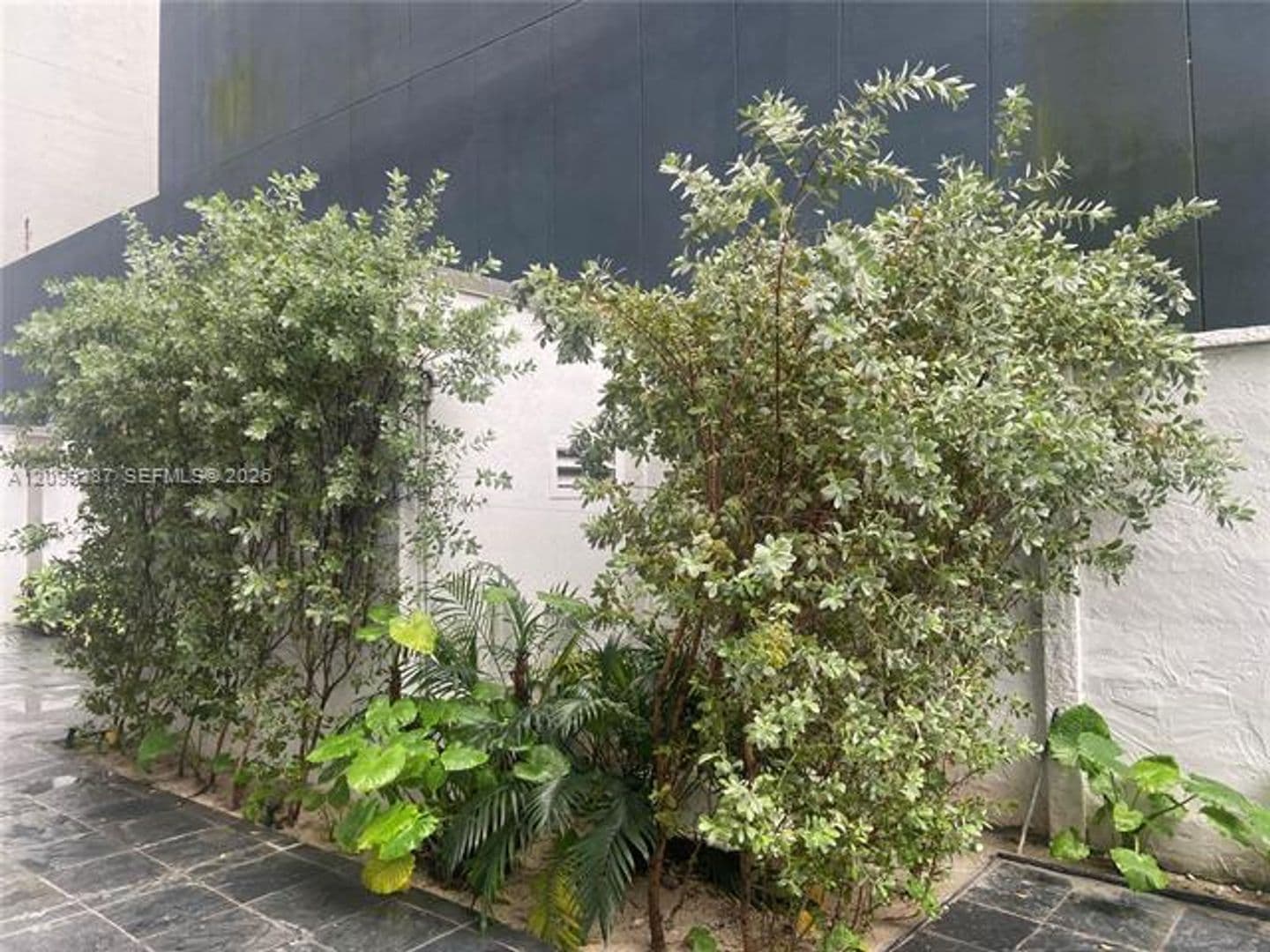 Miami Condo: 234 NE 3rd St cu-2202