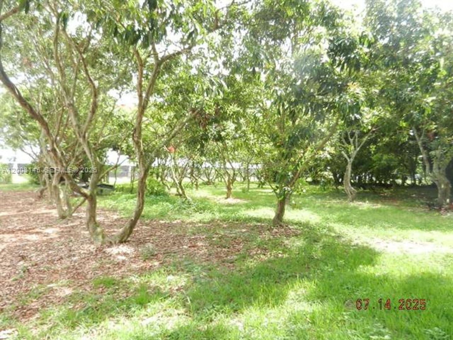 Homestead House: 18950 SW 240th St # 18950