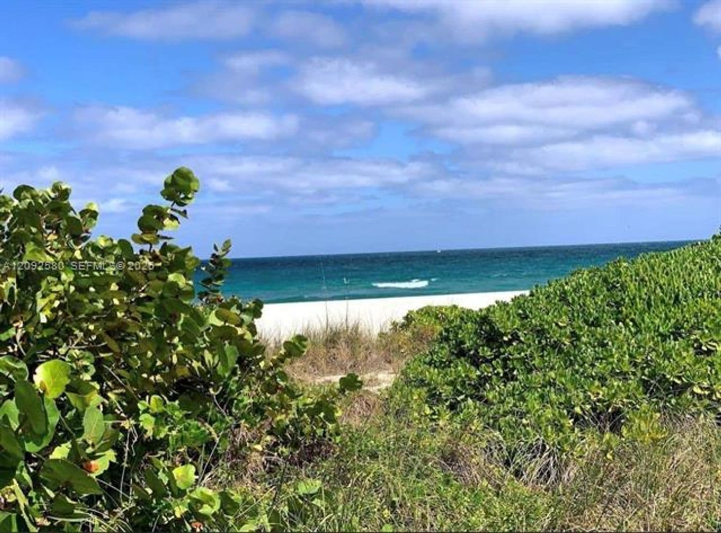 Surfside House: 9008 Collins Ave cu-402