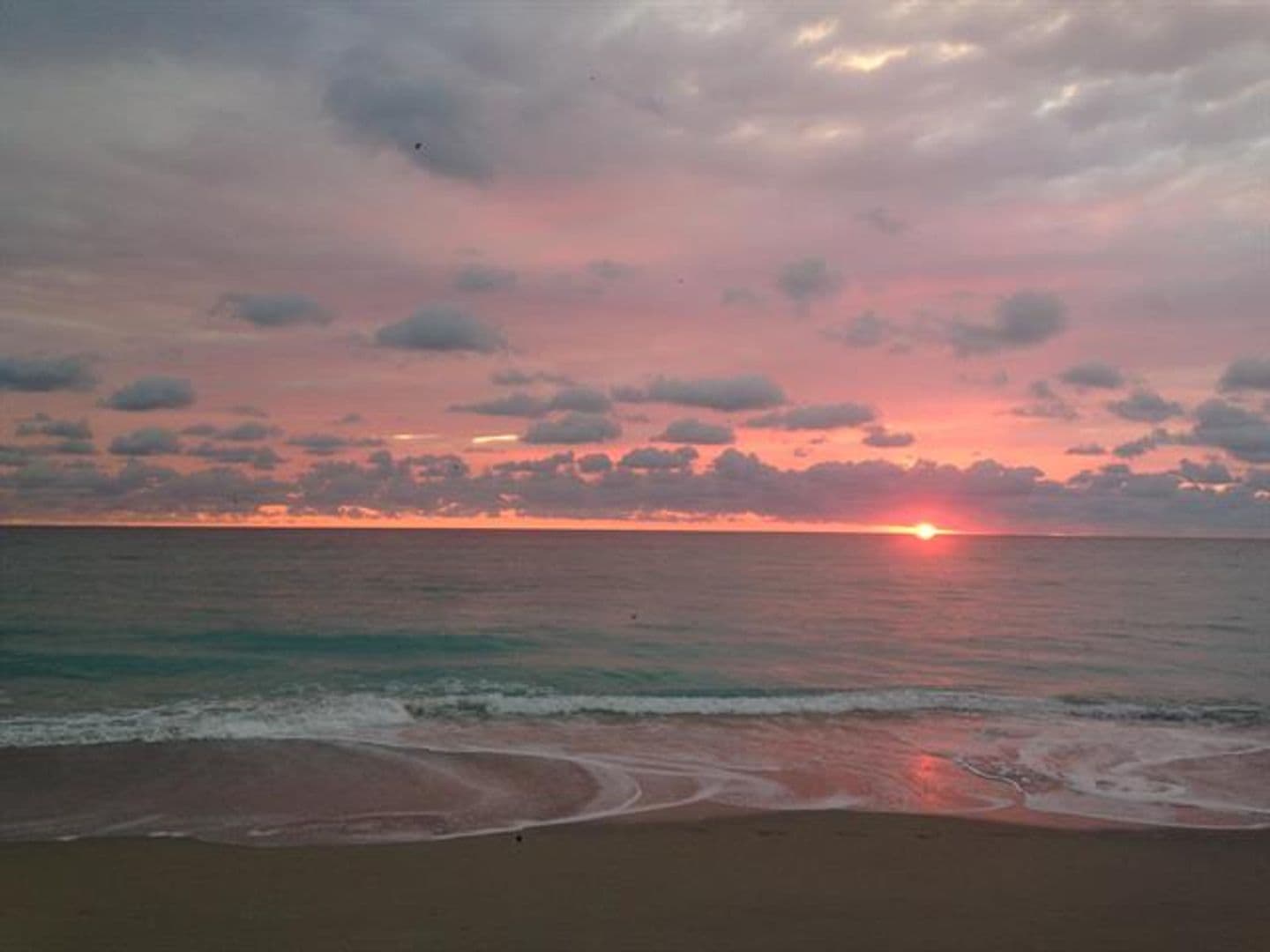 Hollywood Condo: 3200 N Ocean Dr cu-206