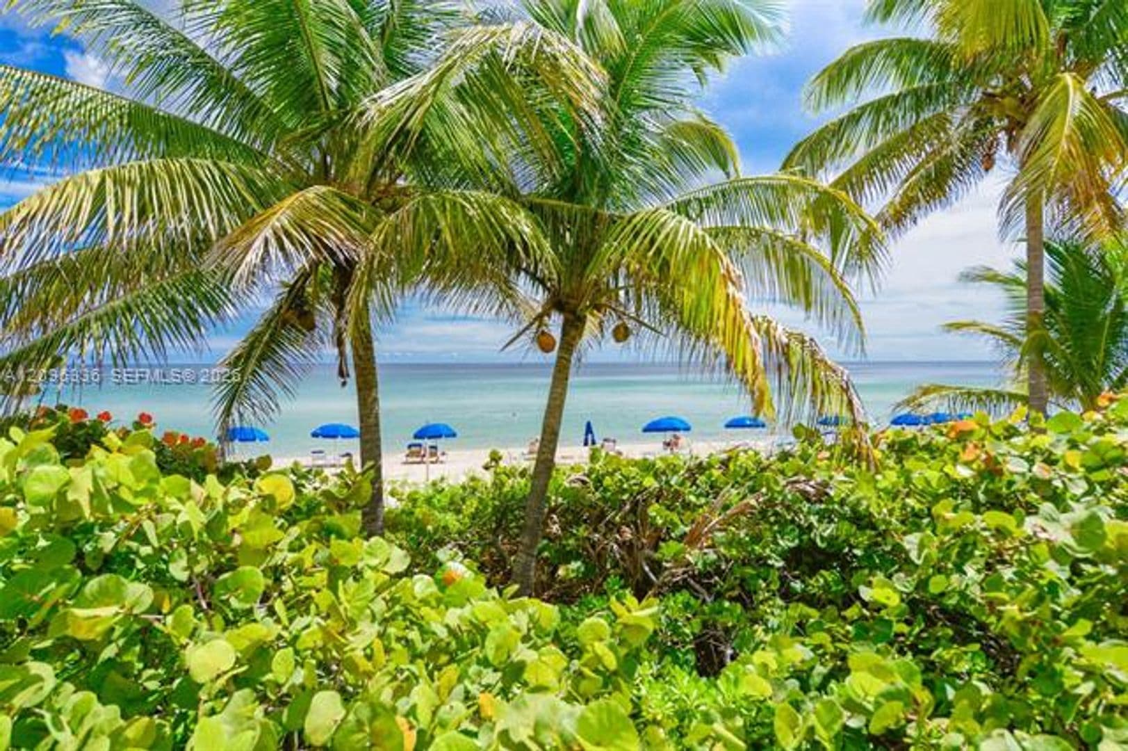 Hallandale Beach Condo: 1980 S Ocean Dr cu-18D