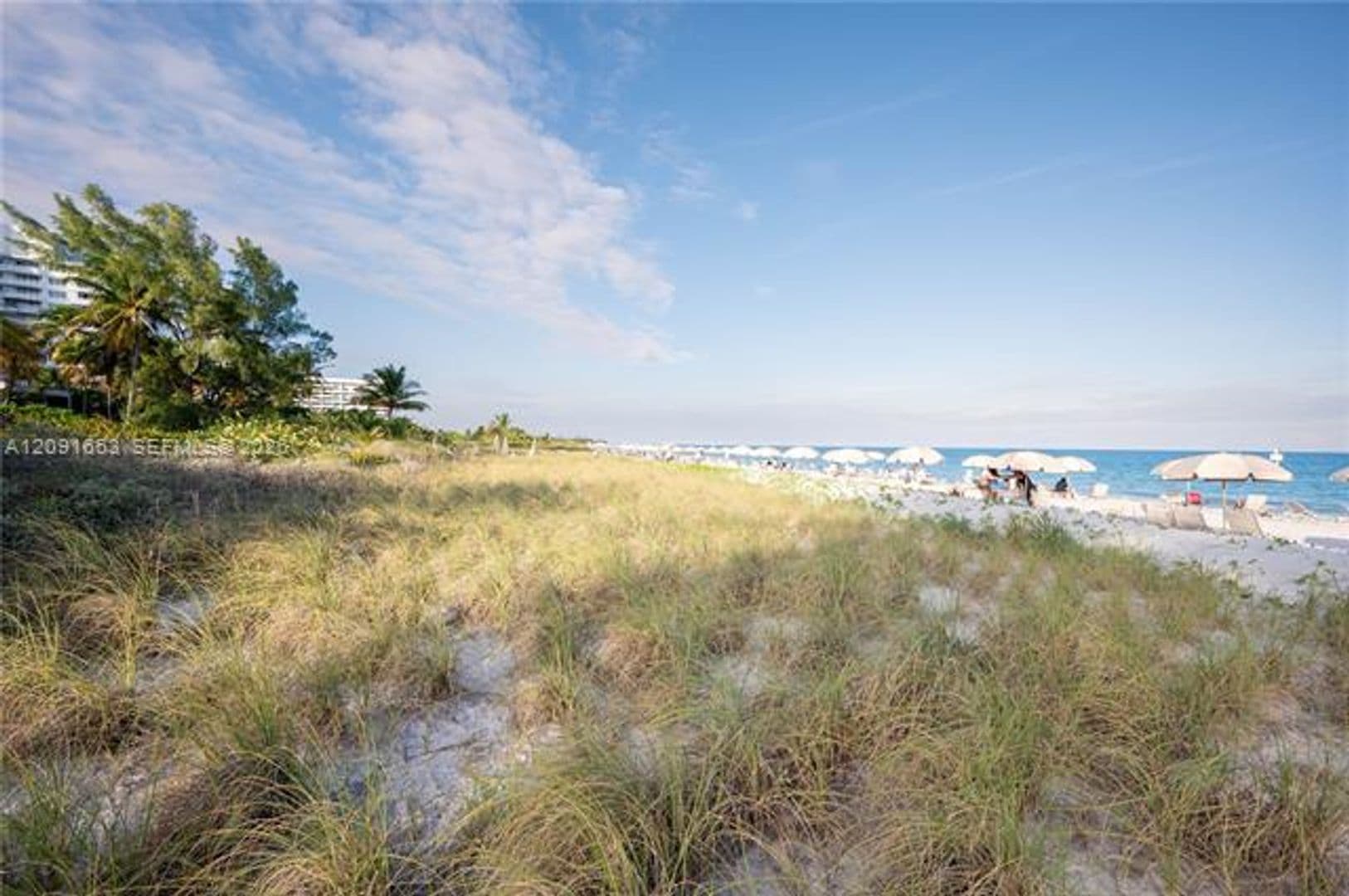 Key Biscayne Condo: 201 Crandon Blvd cu-739