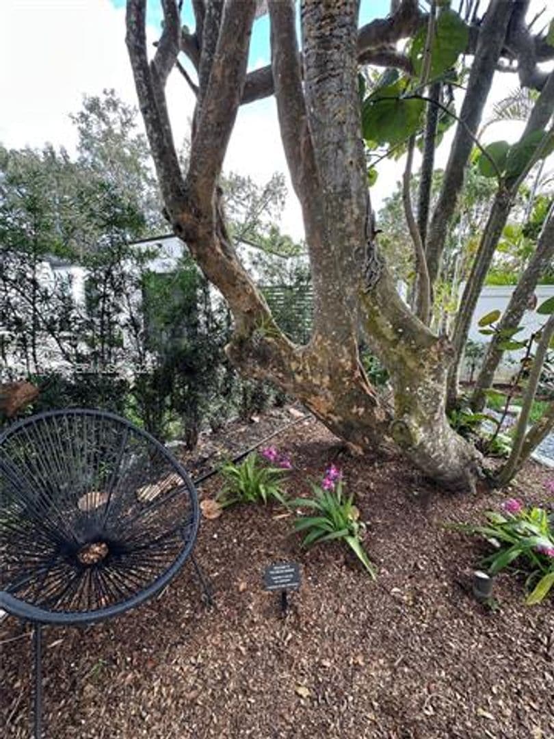 Miami Shores House: 62 NW 105th St # 62