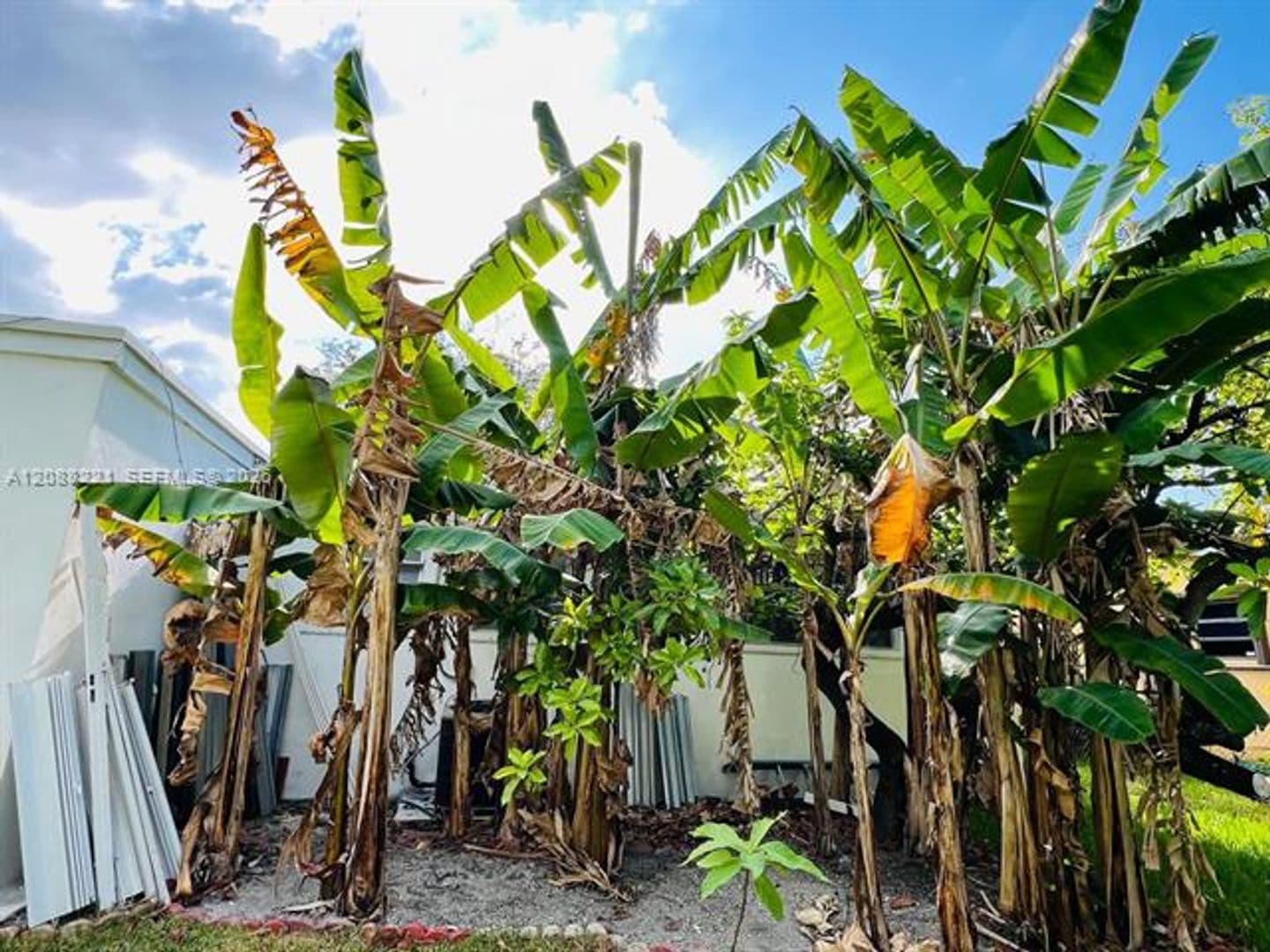 North Miami Beach House: 18320 NE 7th Ct # 18320