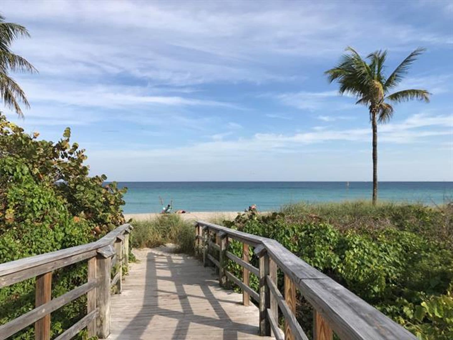 Hollywood Condo: 3200 N Ocean Dr cu-206