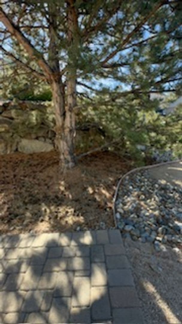 Reno House: 715 Sienna Station Way, Reno NV 89512