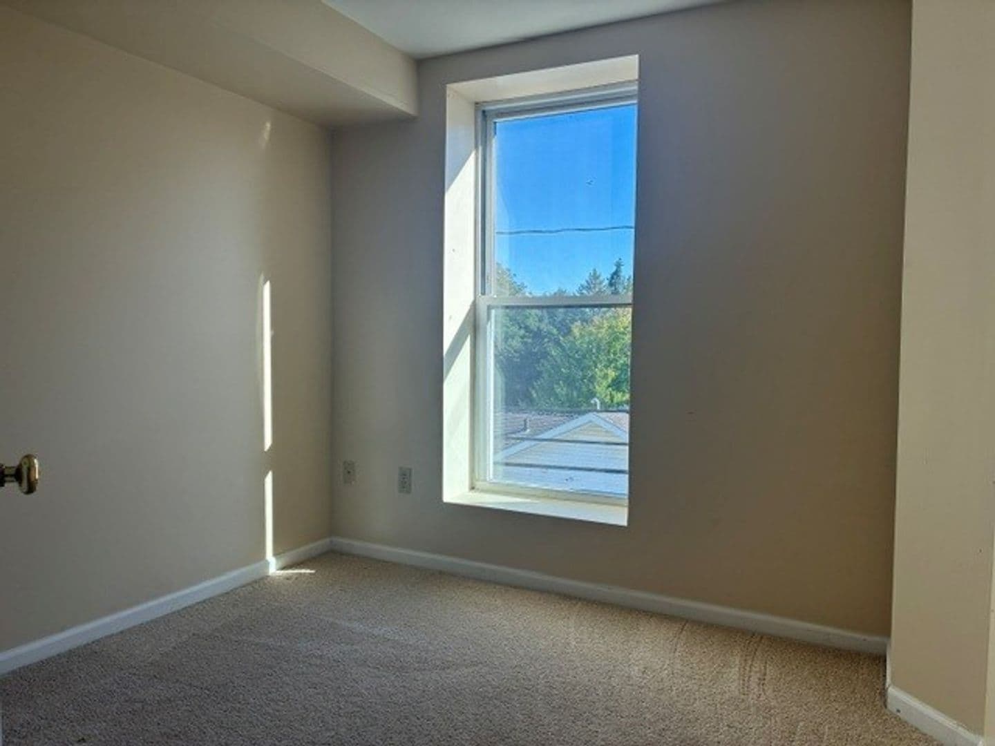 Delavan Apartment: 104 E Walworth Street