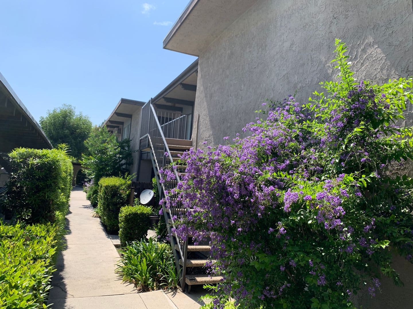 Monrovia Apartment: 115 N. Myrtle Avenue