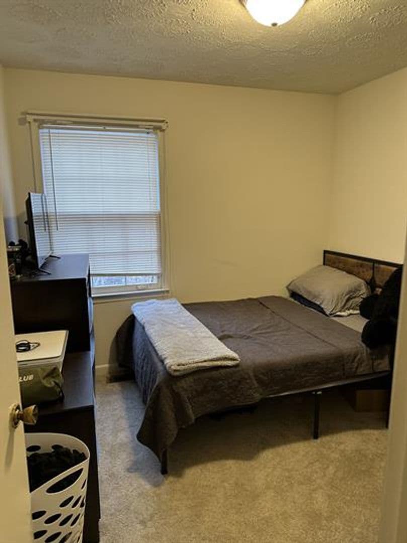 Blacksburg Townhome: 312 Broce Drive
