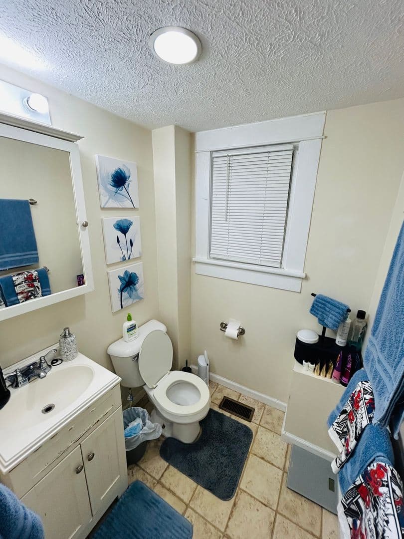 Blacksburg Apartment: 706 Progress St