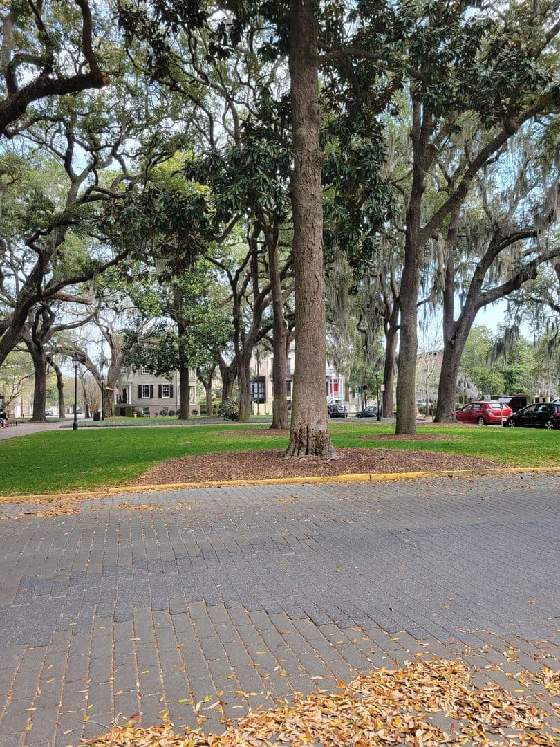 Savannah House: 123 W. Charlton Street #1