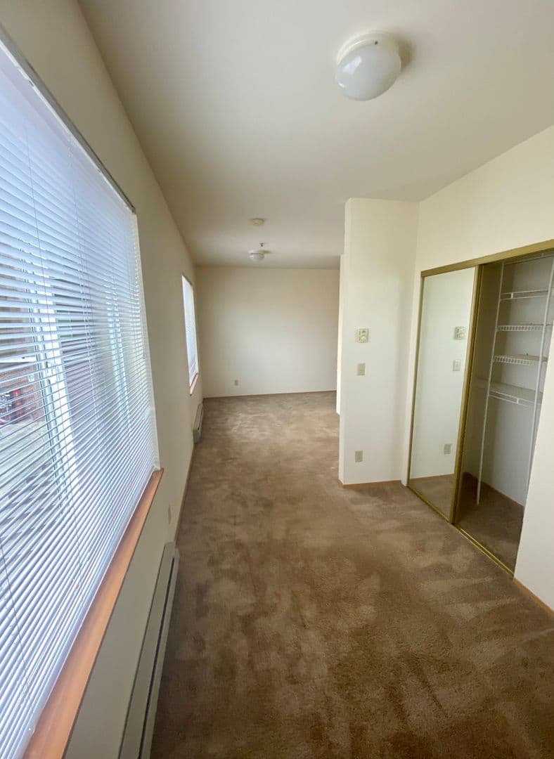 Renton Apartment: 334 Wells Ave South