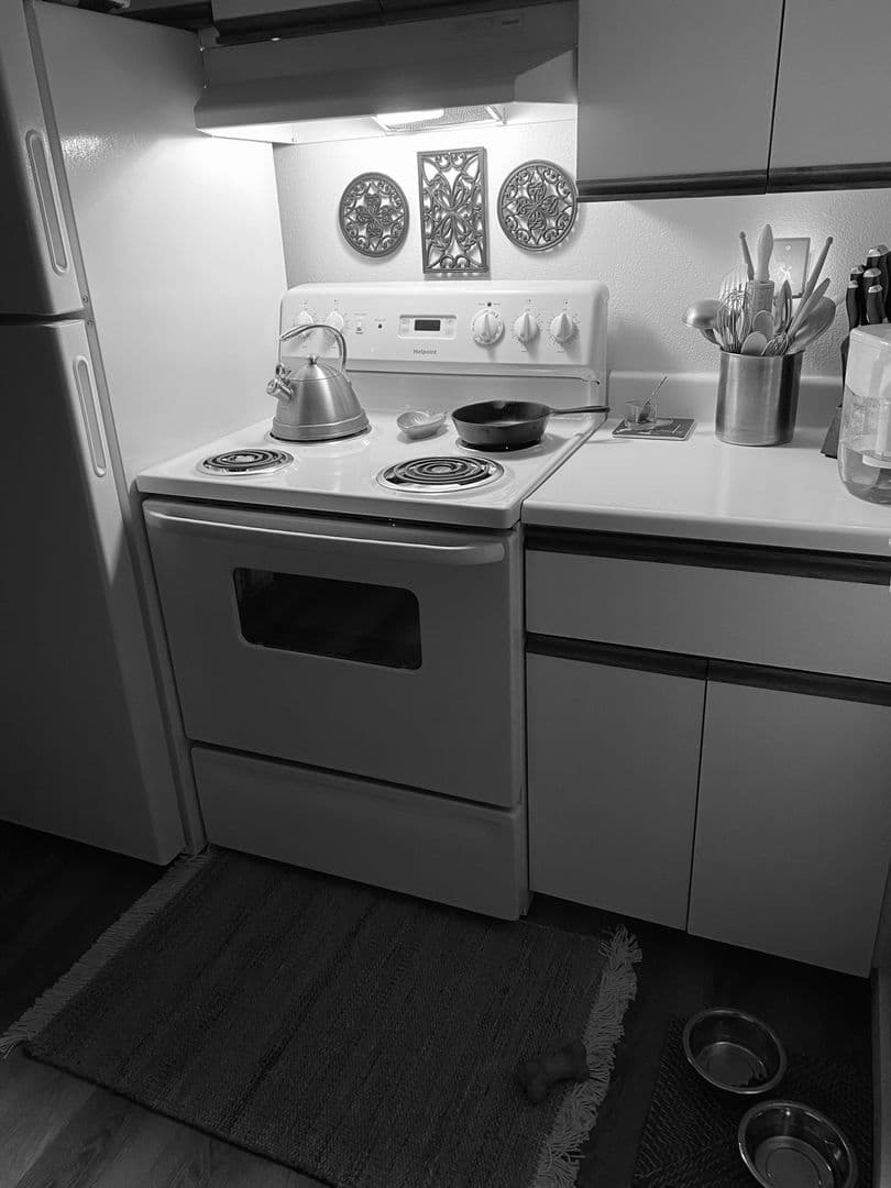 Renton Apartment: 334 Wells Ave South