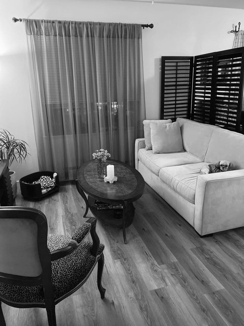 Renton Apartment: 334 Wells Ave South