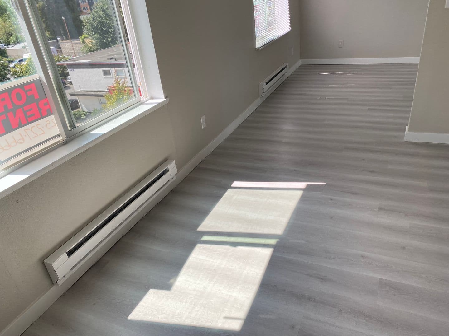 Renton Apartment: 334 Wells Ave South