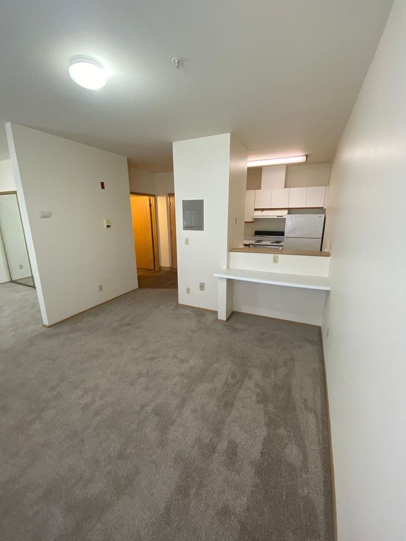 Renton Apartment: 334 Wells Ave South